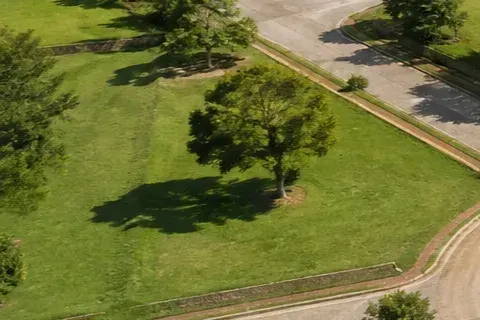 Lote con grama y un árbol grande junto a la calle